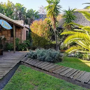  Hostel Saltycrax Backpackers And Surf